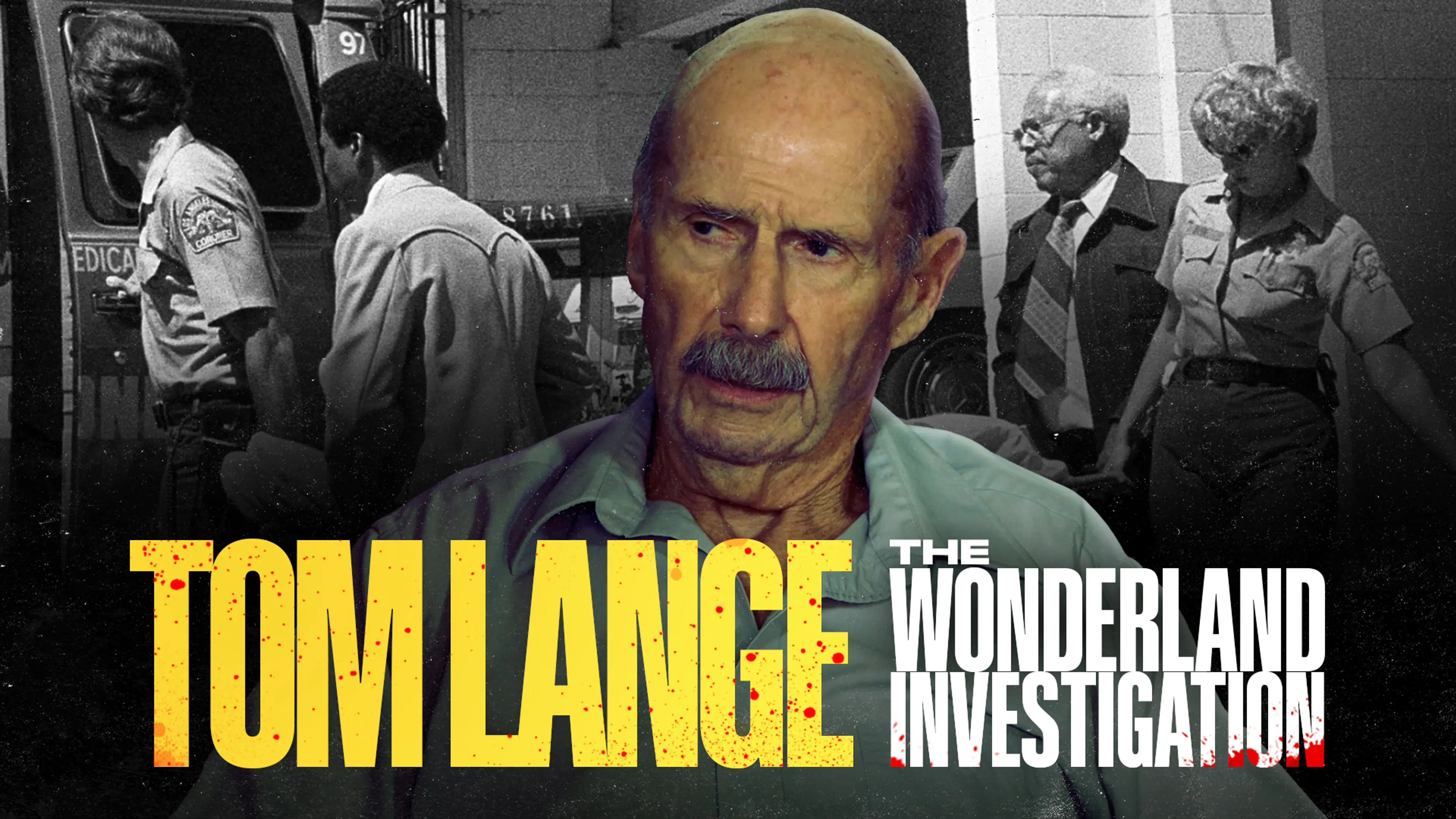 Tom Lange: The Wonderland Investigation poster
